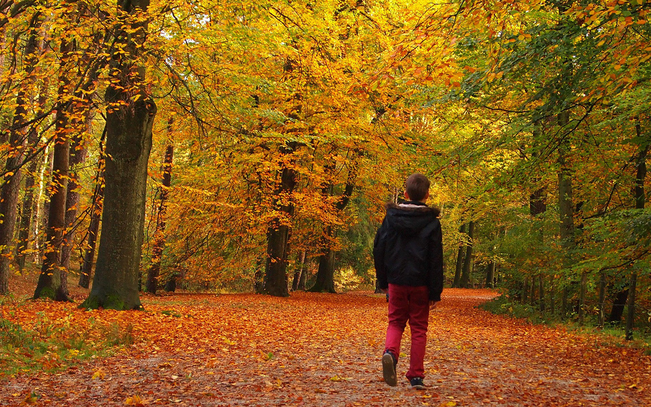 B wandelen jongen